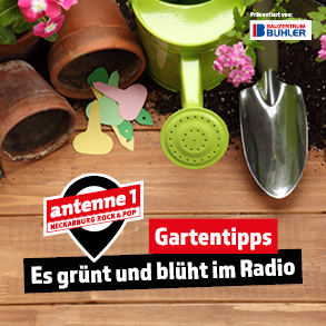Gartentipps bei antenne 1 Neckarburg Rock & Pop