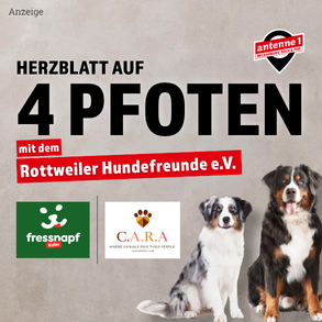 Herzblatt auf 4 Pfoten - Freunde für's Leben