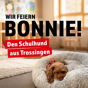 Wir feiern Bonnie!
