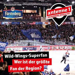 antenne 1 Neckarburg Rock & Pop sucht den Wild Wings - Superfan!